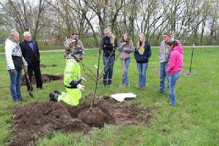 group planting urban orchard in de pere